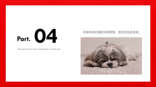丑萌的小狗狗宠物通用PPT模板