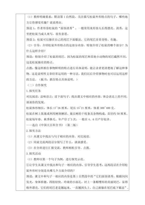 17 松鼠 第二课时 教学设计
