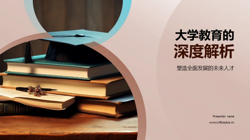 大学教育的深度解析