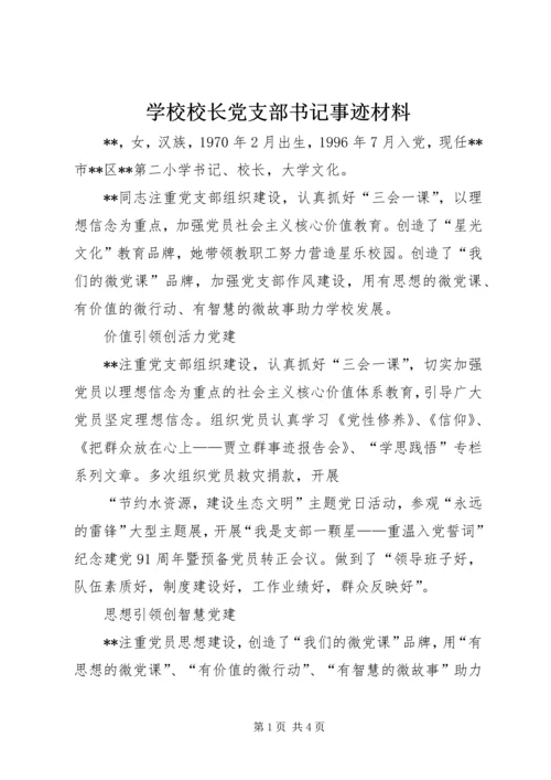 学校校长党支部书记事迹材料.docx