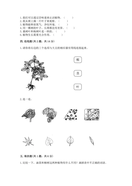 教科版科学一年级上册第一单元《植物》测试卷及参考答案（精练）.docx