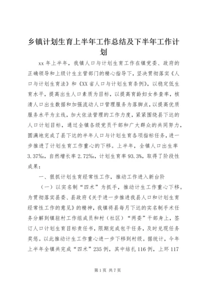 乡镇计划生育上半年工作总结及下半年工作计划.docx