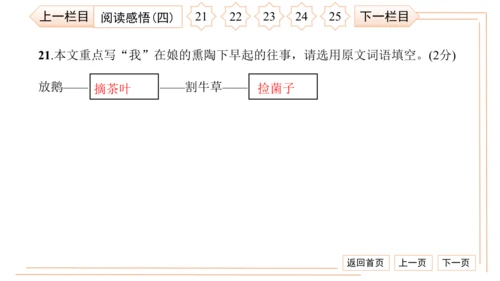 统编版八上语文第二次月考综合检测卷 习题课件（41张PPT）