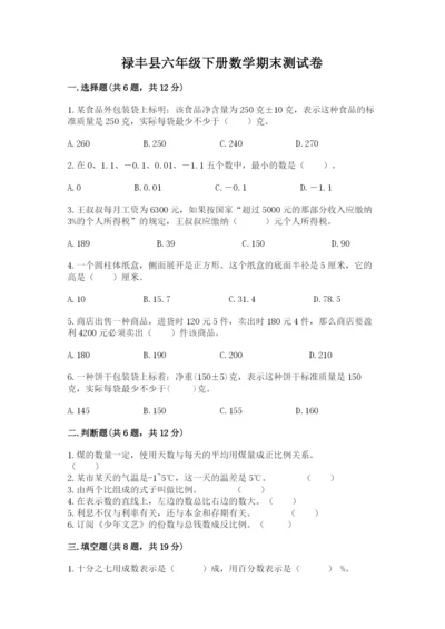 禄丰县六年级下册数学期末测试卷及完整答案一套.docx