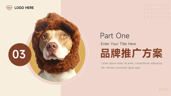 红黄宠物电商活动复盘分析PPT模板