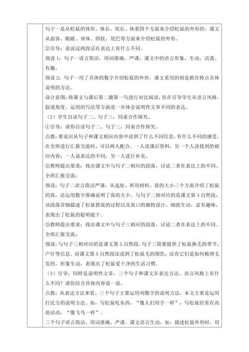 17 松鼠 第二课时 教学设计