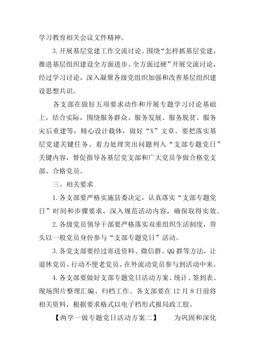 两学一做主题党日活动专业方案.docx