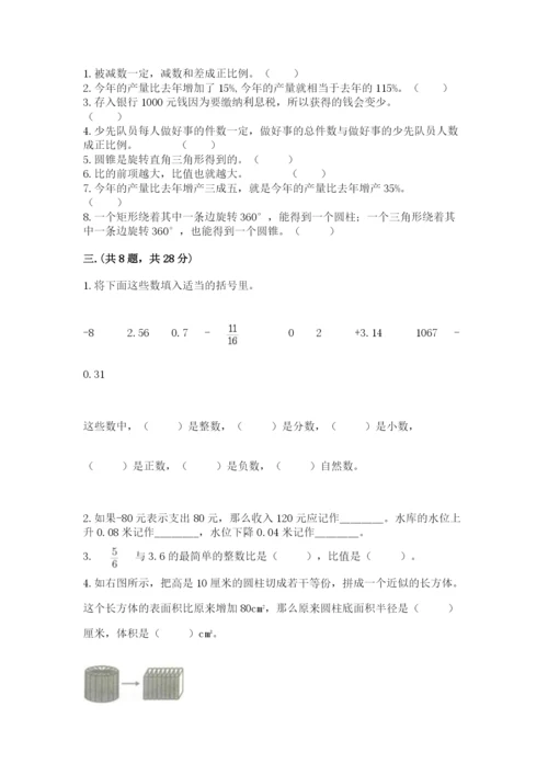 苏教版六年级数学小升初试卷（网校专用）.docx