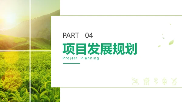 绿色茶山农业种植项目汇报通用PPT模板