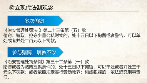 青少年法制教育普法讲座PPT课件