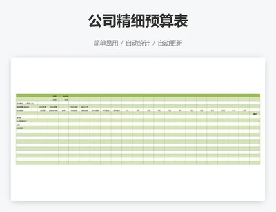 公司精细预算表