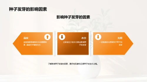 揭秘植物生长奇观