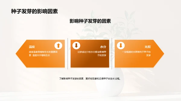 揭秘植物生长奇观