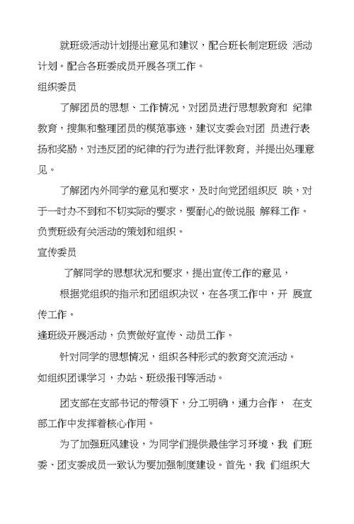 五四红旗团支部申报材料