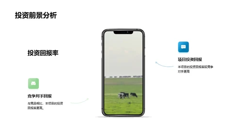 林下经济探析