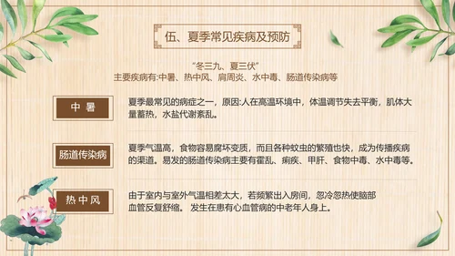 三伏养生中医食疗PPT模板