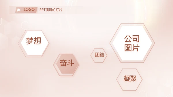轻奢女神微整形医院介绍工作总结PPT