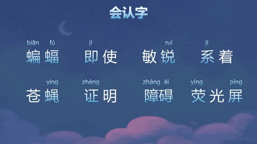 部编版四年级上册夜间飞行的秘密课件PPT模板