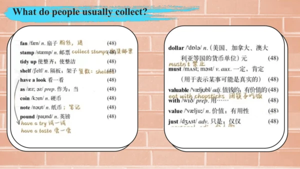 外研版八年级下册Module 6 Hobbies Unit 1 Do you collect any