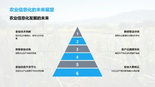 农业信息化实践者