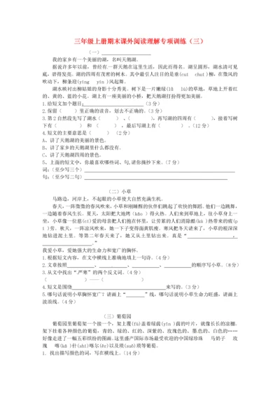 三年级语文上学期期末复习 课外阅读理解专项训练（三） 新人教版.docx