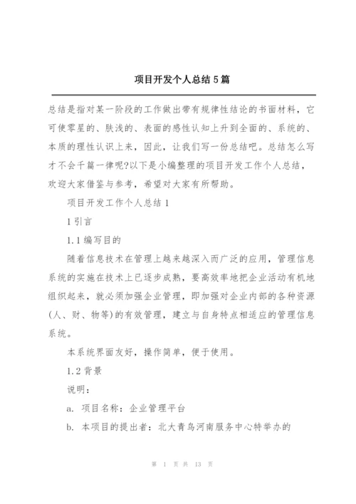 项目开发个人总结5篇.docx