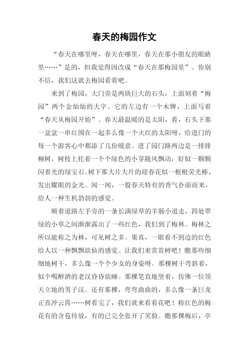 春天的梅园作文.docx