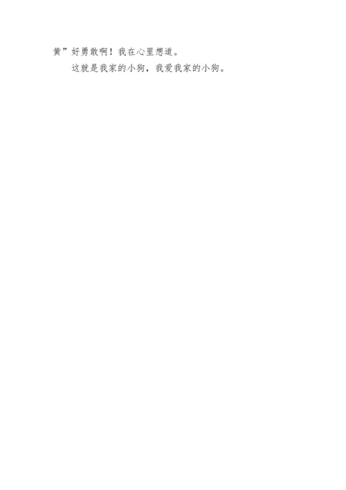 我喜爱的小狗作文500字.docx