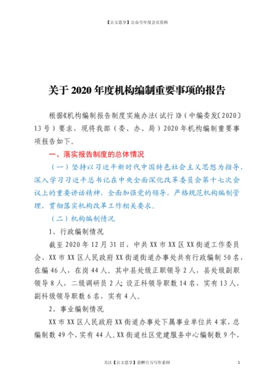 21387【关于2020年度机构编制重要事项的报告.docx