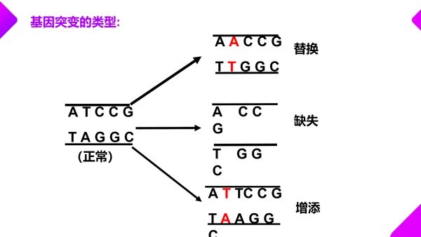 基因突变和基因重组初高中生物PPT课件