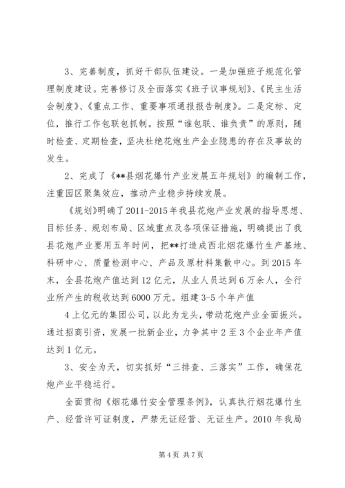 县烟花爆竹管理局报告.docx