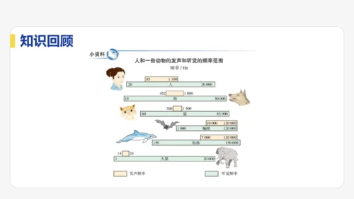 【大单元教学】2.3精品课件：声的利用（40页，内嵌多个视频）