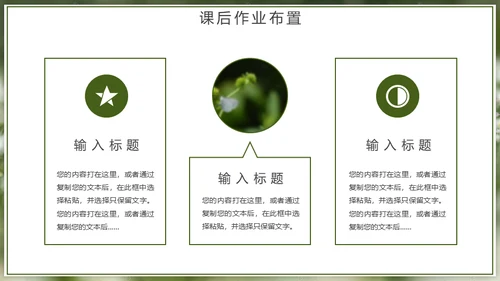 自然风格绿色教育教学通用PPT模板