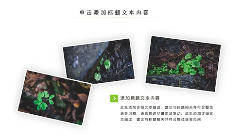 唯美绿色植物发芽植物生长敬畏生命PPT模板