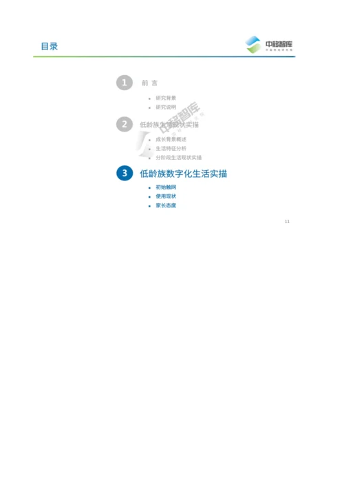 低龄族数字化生活洞察报告.docx