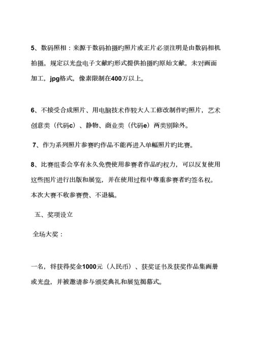 大型演出专题策划专题方案.docx