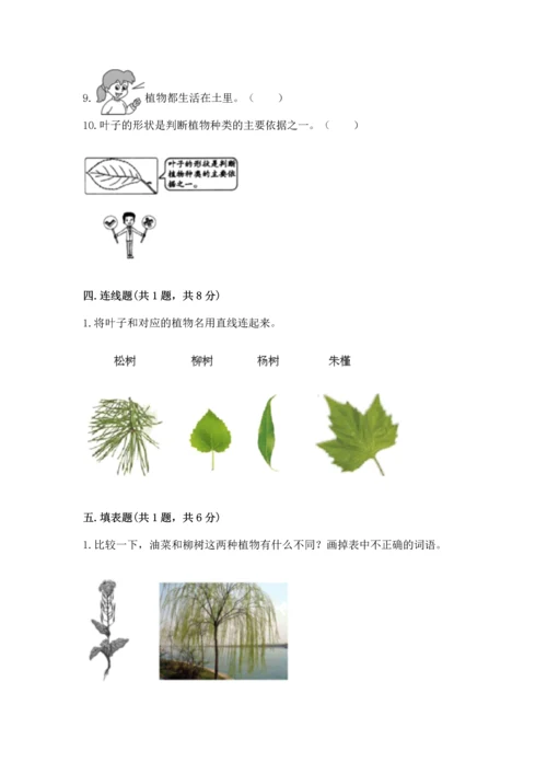 教科版一年级上册科学期末测试卷附答案（培优b卷）.docx