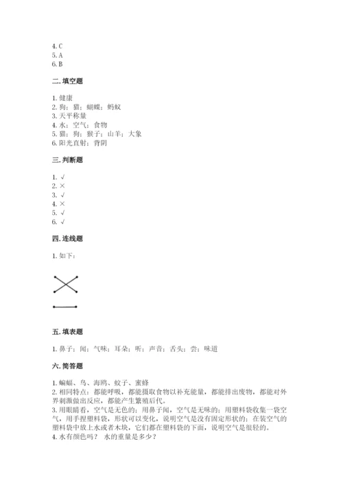 教科版小学科学一年级下册期末测试卷及参考答案ab卷.docx