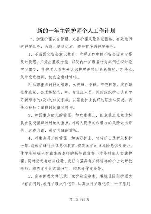 新的一年主管护师个人工作计划.docx