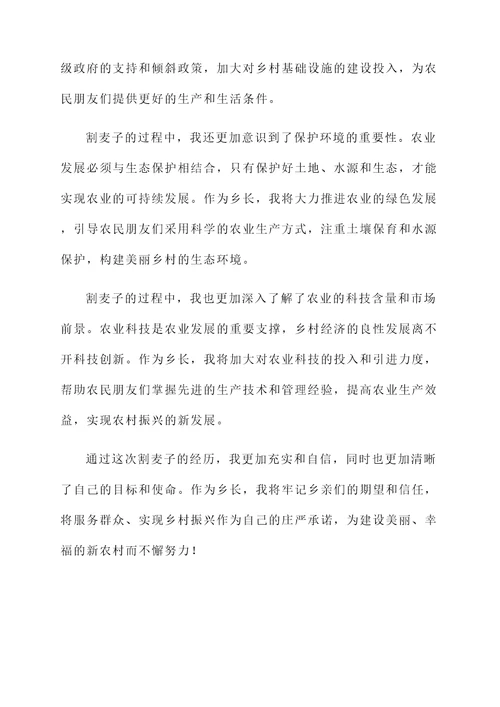 乡长割麦子的感言