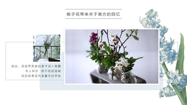清醒纪植物绘小清新文艺女青年通用PPT模板