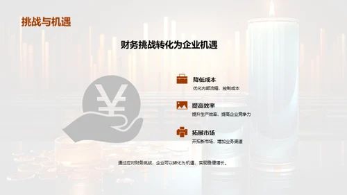 财务分析与前瞻展望