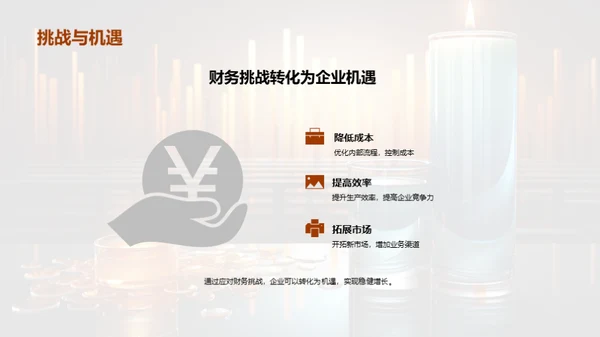 财务分析与前瞻展望