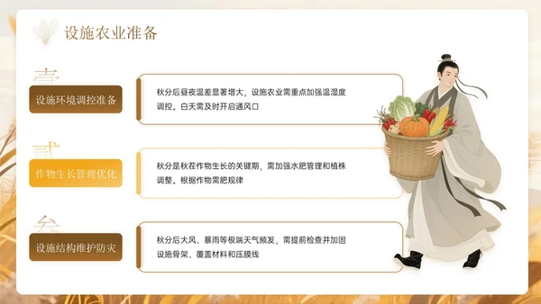 棕色系中国风秋分节气PPT模板