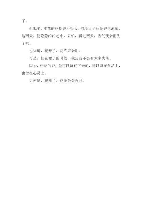描写桂花样子的作文.docx