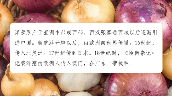 【人教新版】七上 第六章 跨学科主题学习 《探索外来食物传播史》（教学课件24张）