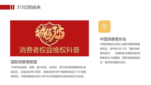 国际消费者权益保护日打假科普PPT模板