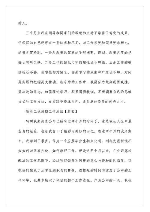 新员工试用期工作总结最新