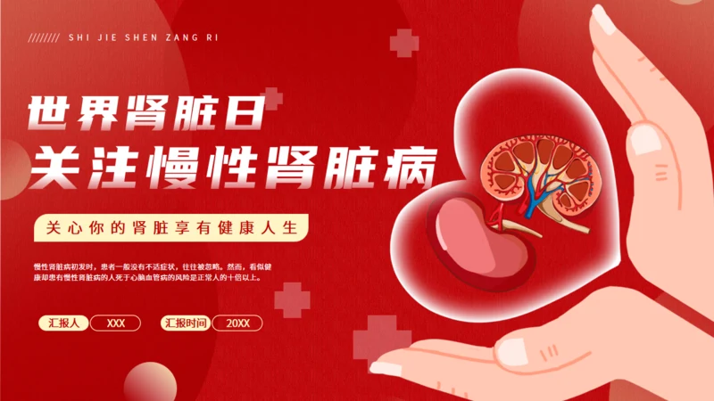 世界肾脏日慢性肾脏病通用PPT模板