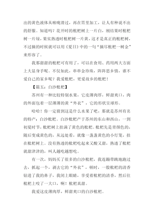 枇杷作文300字0.docx